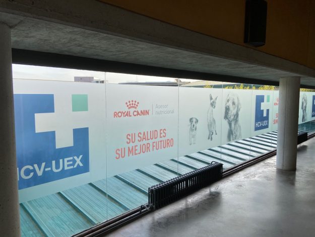 Vinilos al ácido impreso