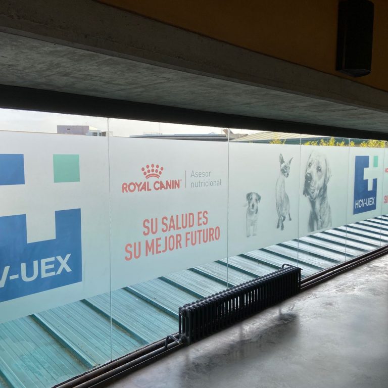 Vinilos al ácido impreso